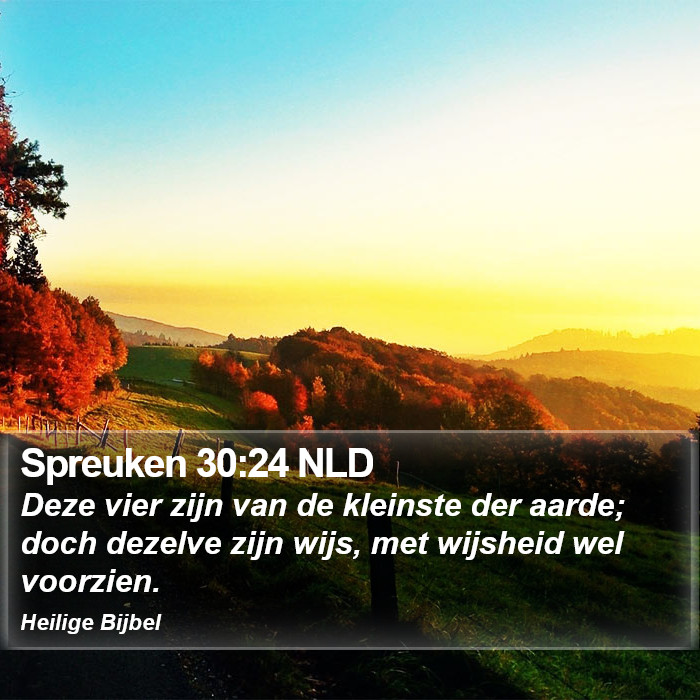 Spreuken 30:24 NLD Bible Study