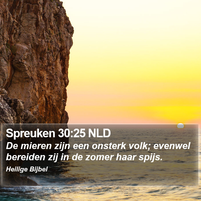 Spreuken 30:25 NLD Bible Study