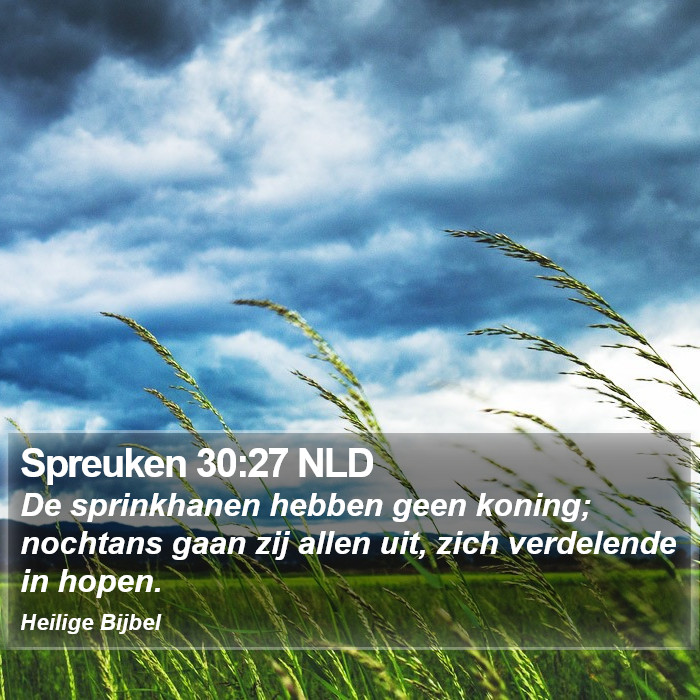 Spreuken 30:27 NLD Bible Study