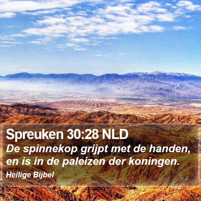 Spreuken 30:28 NLD Bible Study