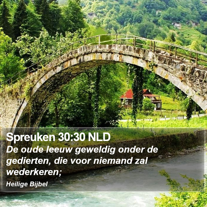 Spreuken 30:30 NLD Bible Study