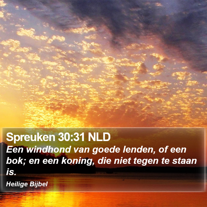 Spreuken 30:31 NLD Bible Study