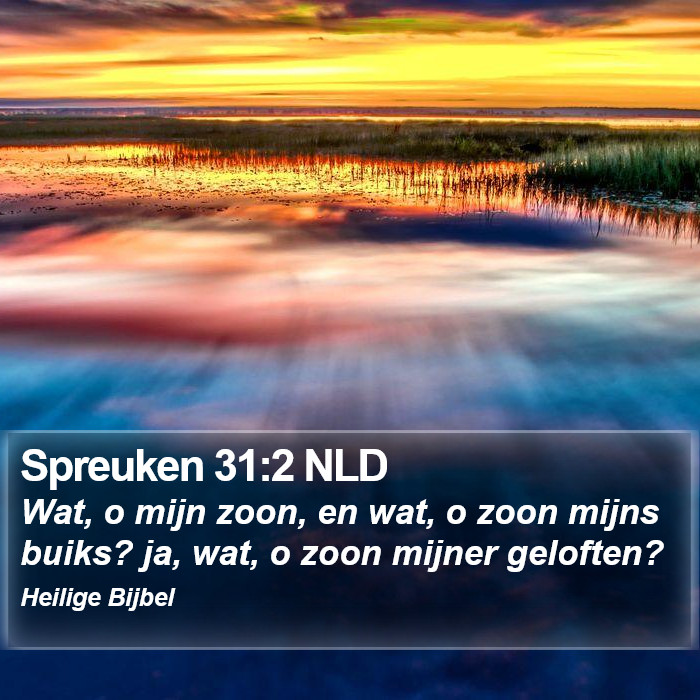 Spreuken 31:2 NLD Bible Study