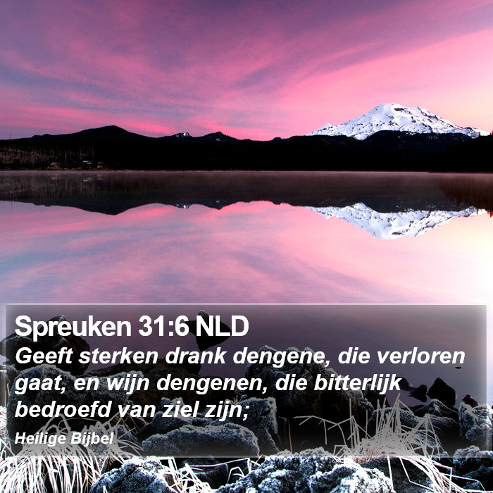 Spreuken 31:6 NLD Bible Study