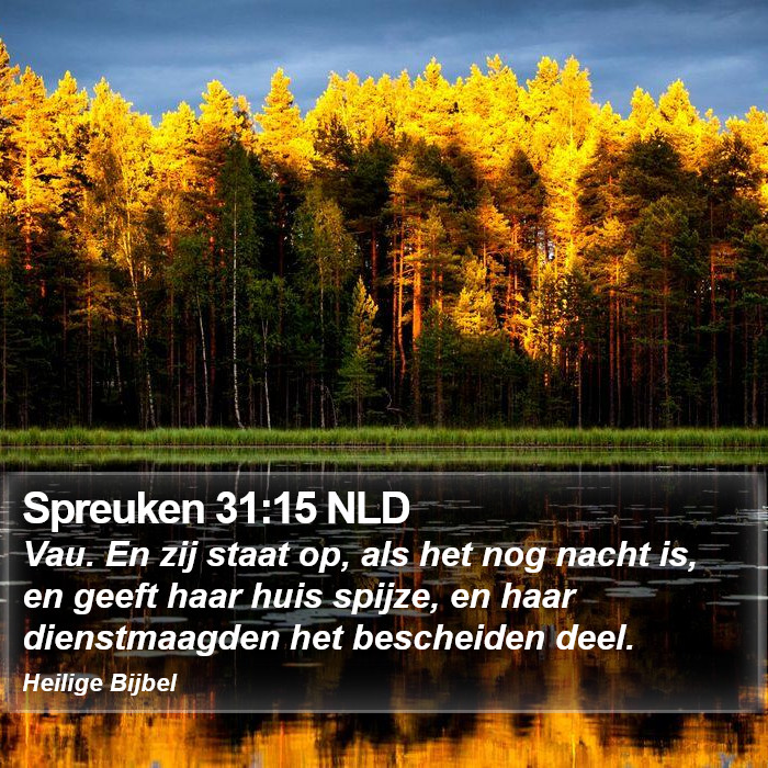 Spreuken 31:15 NLD Bible Study