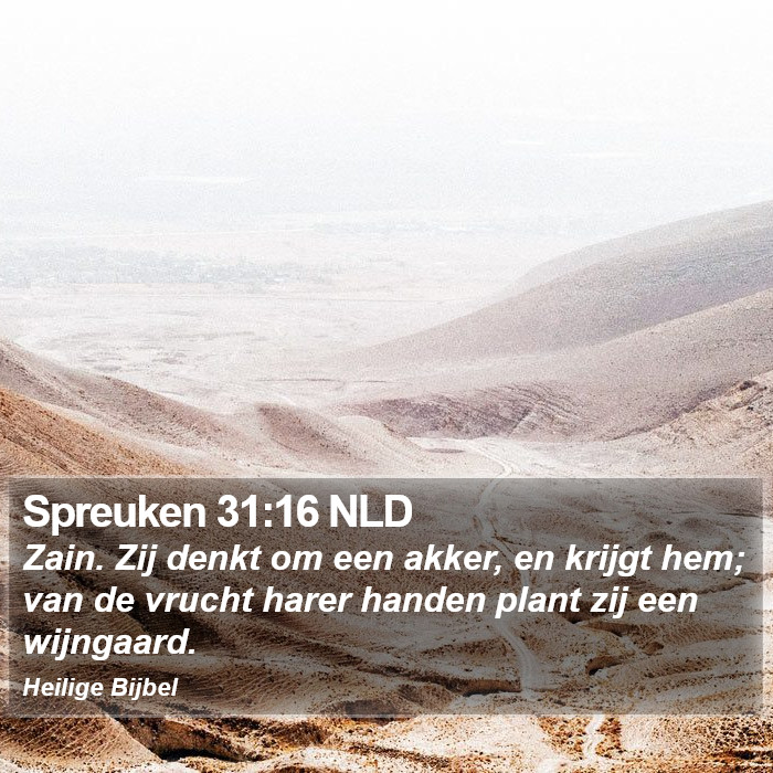 Spreuken 31:16 NLD Bible Study