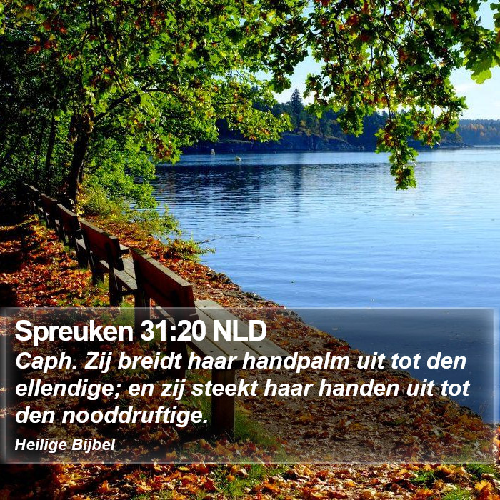 Spreuken 31:20 NLD Bible Study