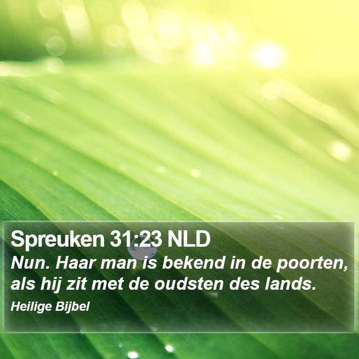 Spreuken 31:23 NLD Bible Study