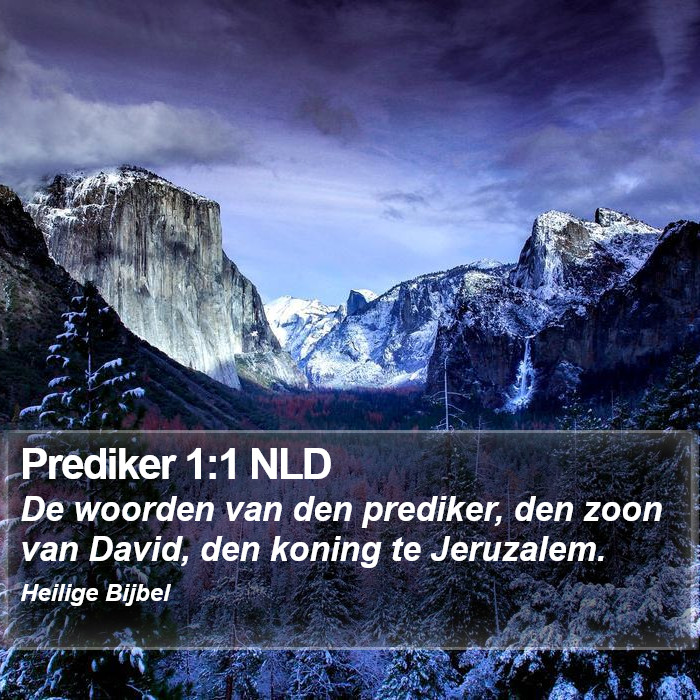 Prediker 1:1 NLD Bible Study