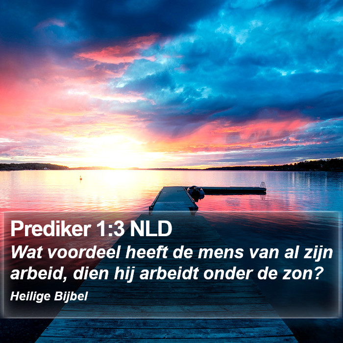 Prediker 1:3 NLD Bible Study