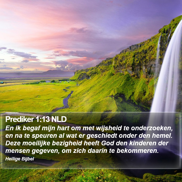 Prediker 1:13 NLD Bible Study