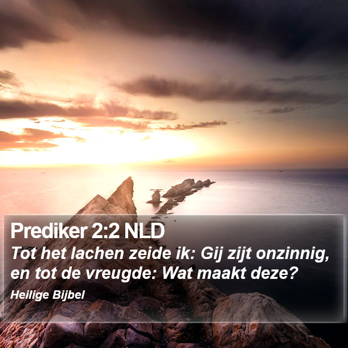 Prediker 2:2 NLD Bible Study