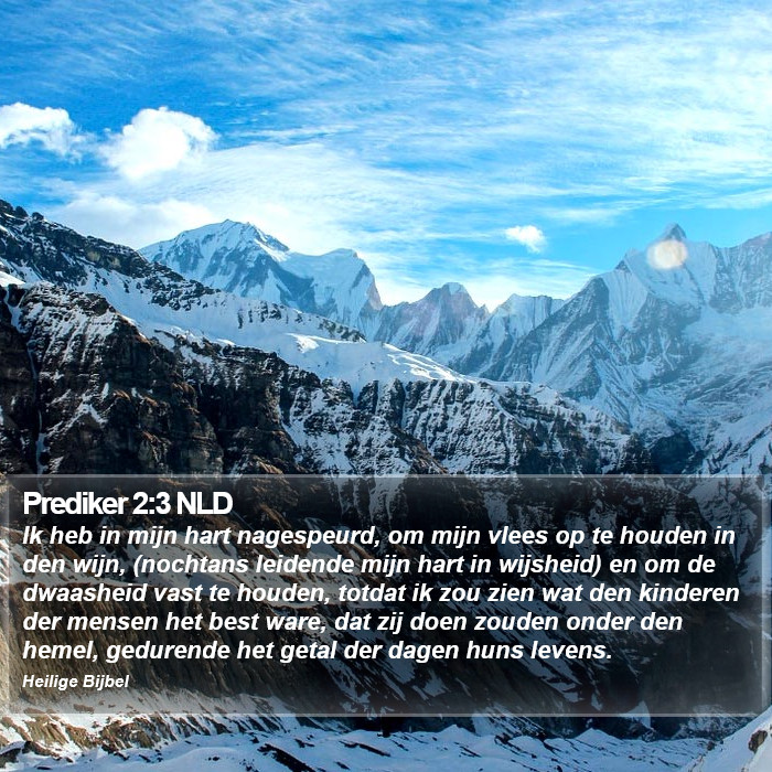 Prediker 2:3 NLD Bible Study