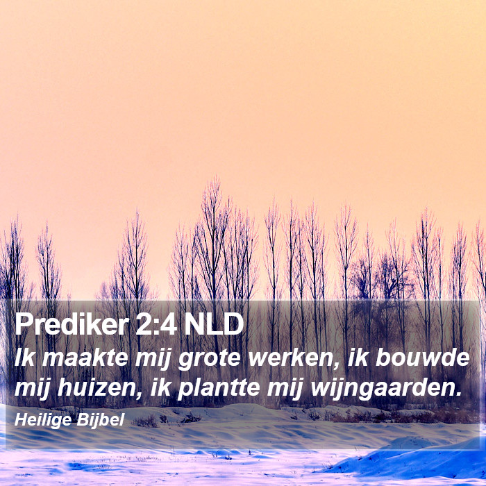 Prediker 2:4 NLD Bible Study