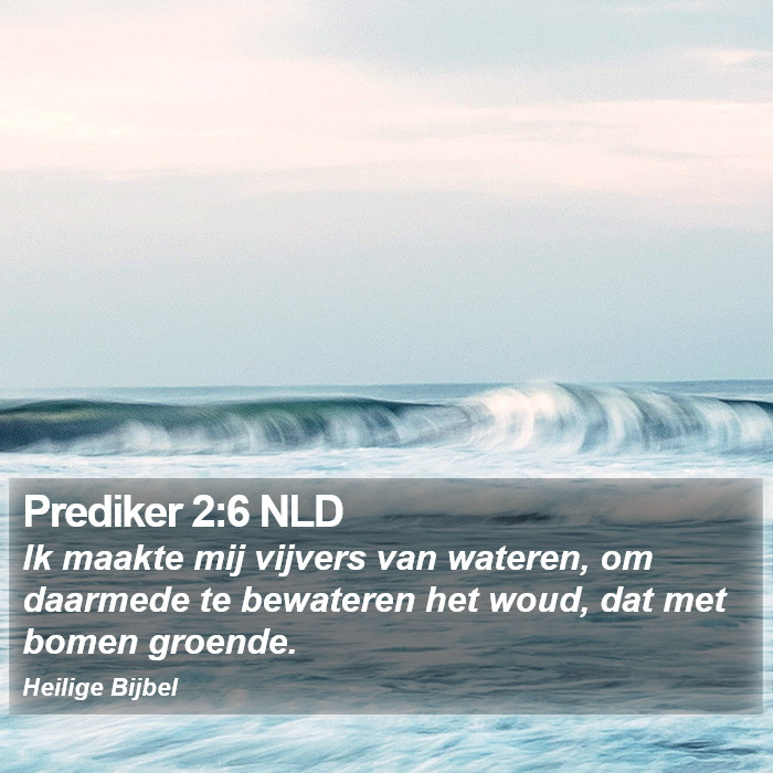 Prediker 2:6 NLD Bible Study