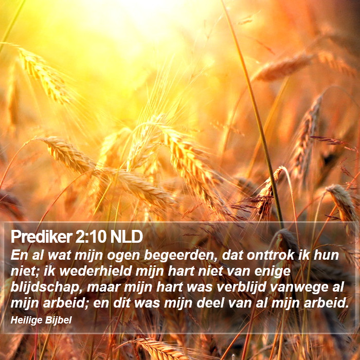 Prediker 2:10 NLD Bible Study