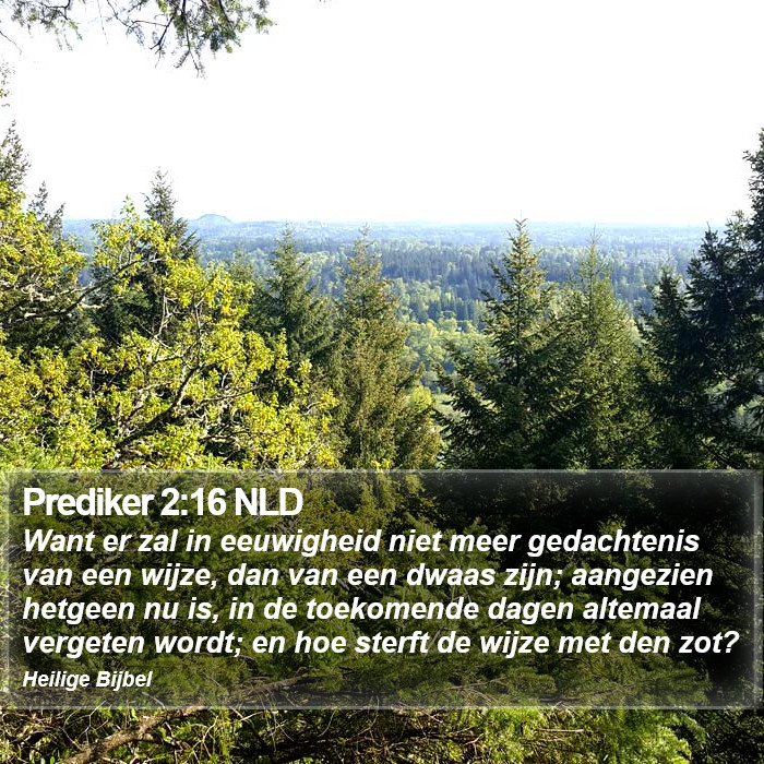 Prediker 2:16 NLD Bible Study