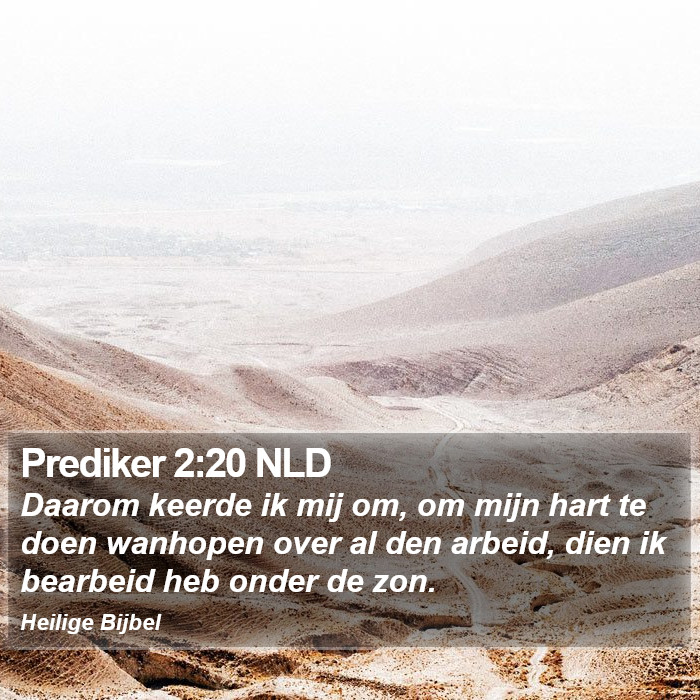 Prediker 2:20 NLD Bible Study