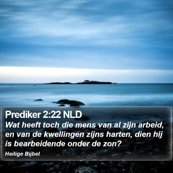 Prediker 2:22 NLD Bible Study