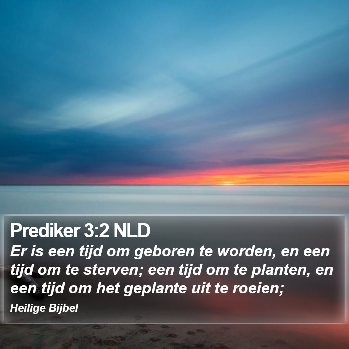 Prediker 3:2 NLD Bible Study