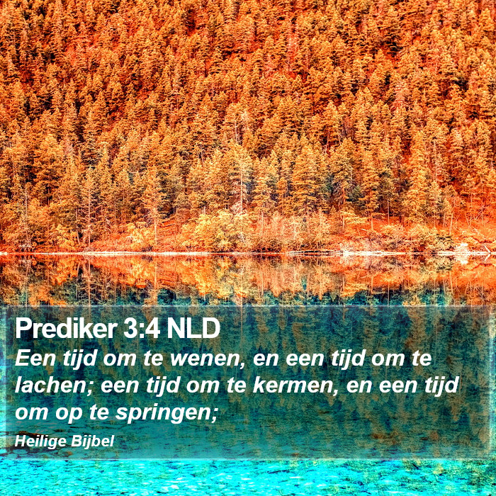 Prediker 3:4 NLD Bible Study