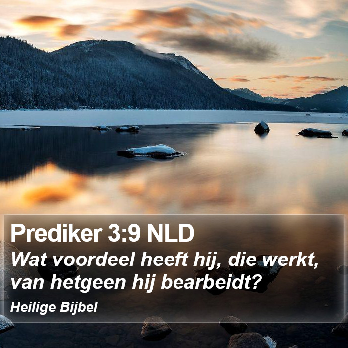 Prediker 3:9 NLD Bible Study