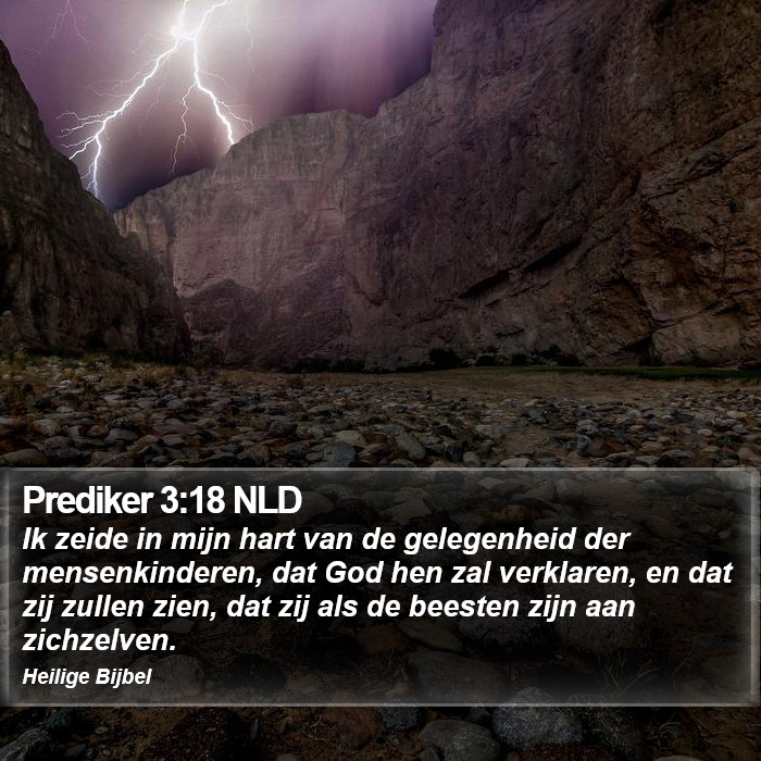 Prediker 3:18 NLD Bible Study