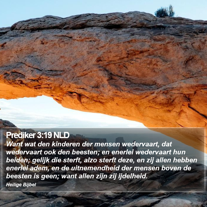 Prediker 3:19 NLD Bible Study