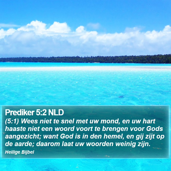 Prediker 5:2 NLD Bible Study