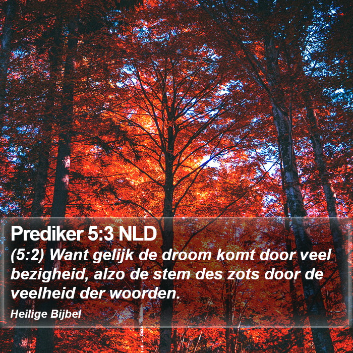 Prediker 5:3 NLD Bible Study