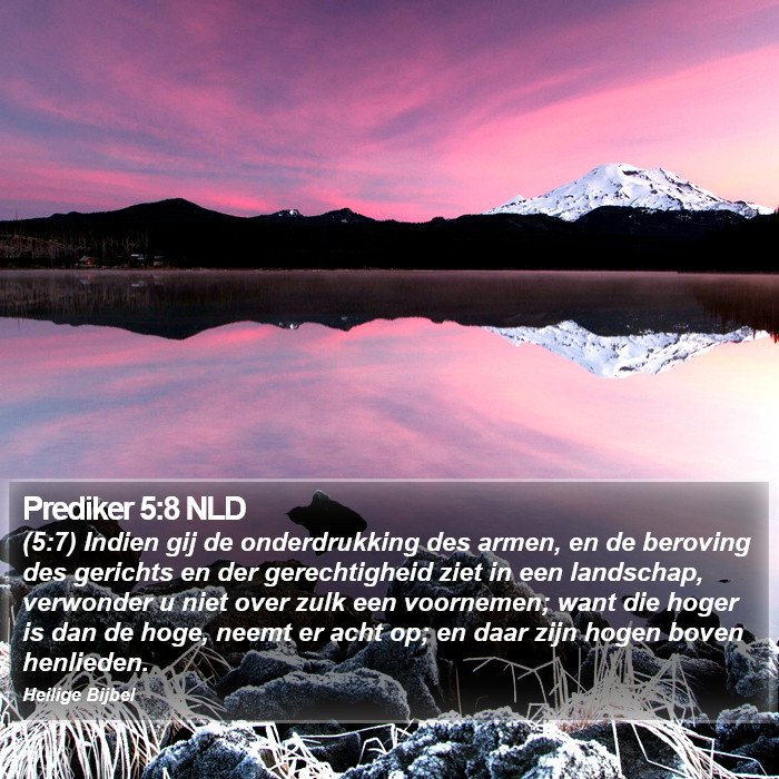 Prediker 5:8 NLD Bible Study