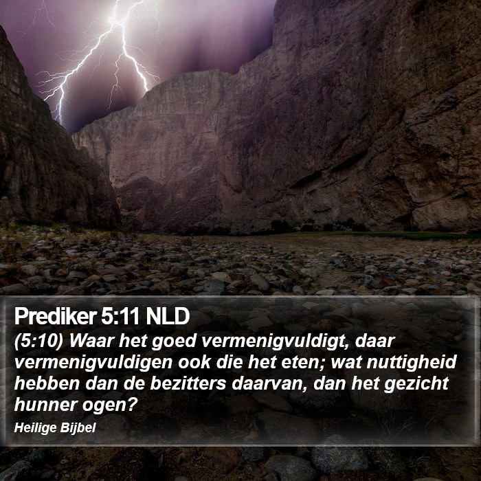 Prediker 5:11 NLD Bible Study