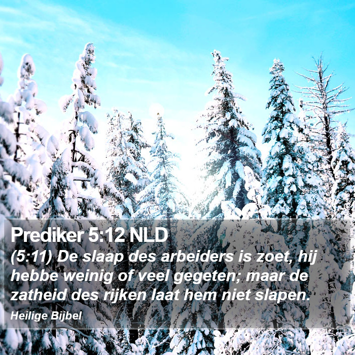 Prediker 5:12 NLD Bible Study