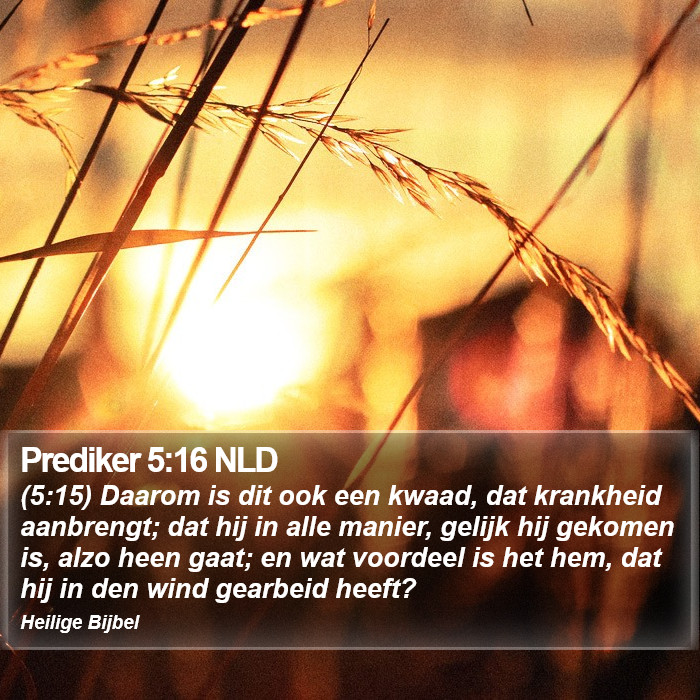 Prediker 5:16 NLD Bible Study