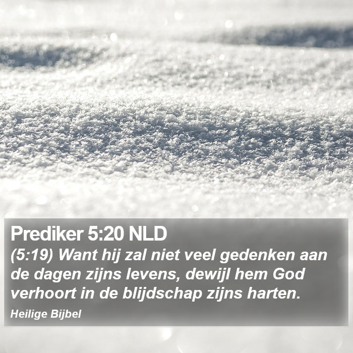 Prediker 5:20 NLD Bible Study