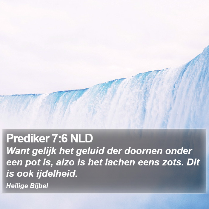 Prediker 7:6 NLD Bible Study