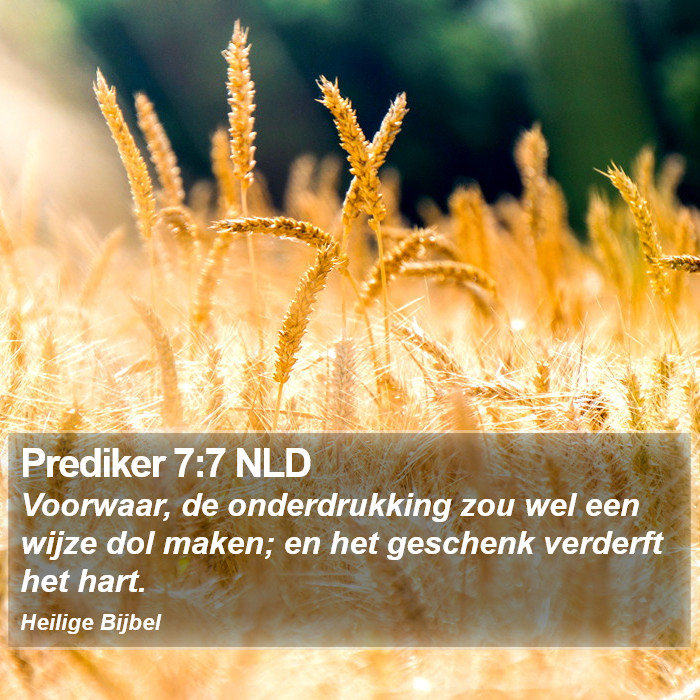 Prediker 7:7 NLD Bible Study