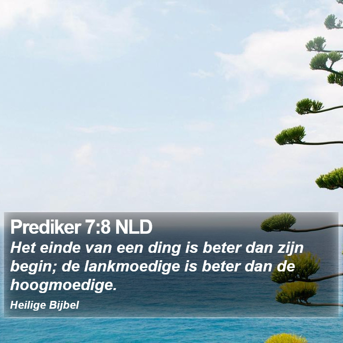 Prediker 7:8 NLD Bible Study