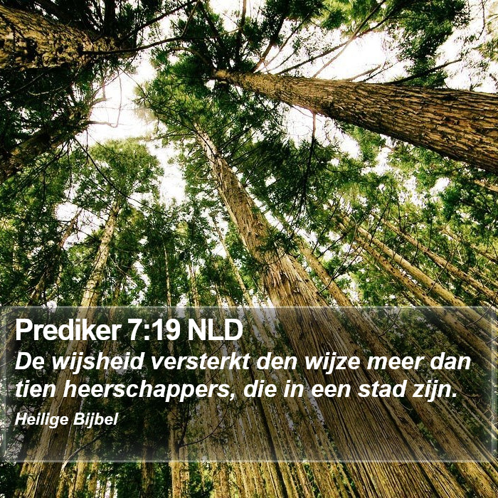 Prediker 7:19 NLD Bible Study