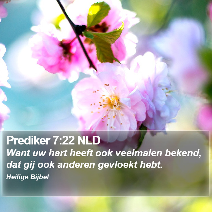 Prediker 7:22 NLD Bible Study