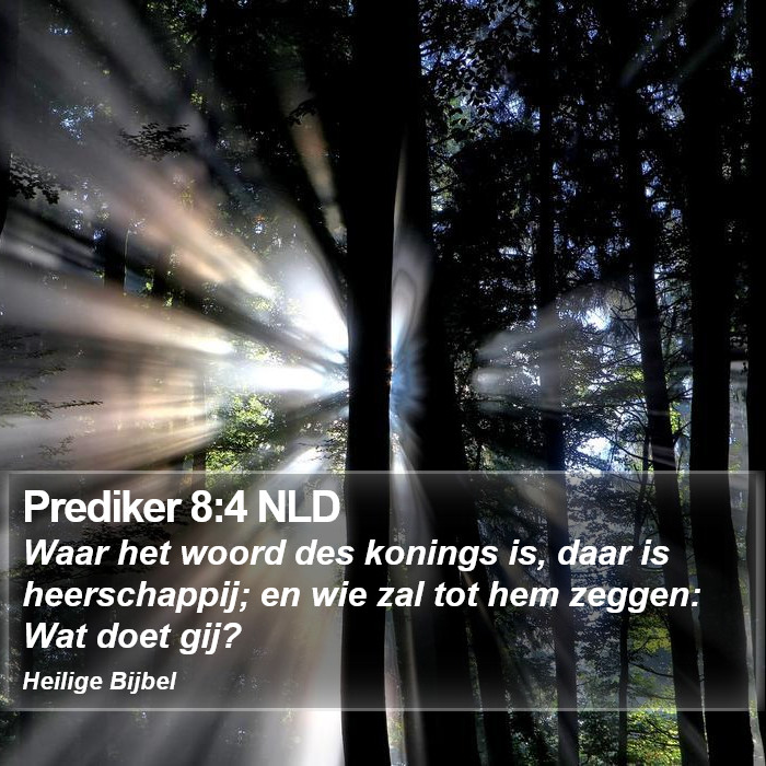 Prediker 8:4 NLD Bible Study