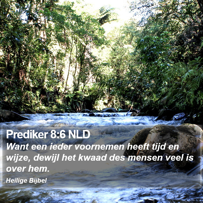 Prediker 8:6 NLD Bible Study