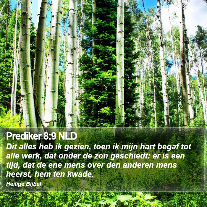 Prediker 8:9 NLD Bible Study