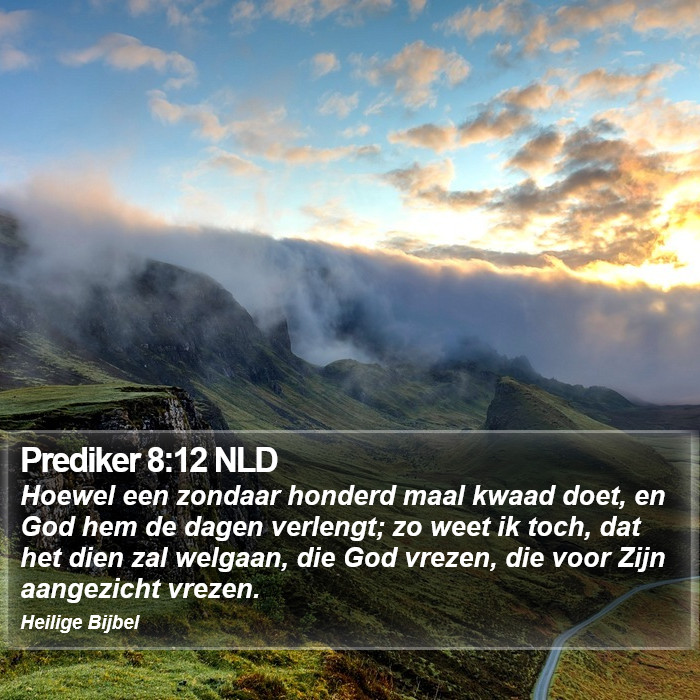 Prediker 8:12 NLD Bible Study