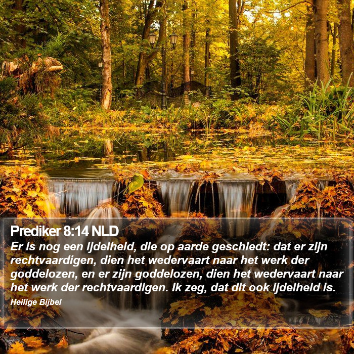Prediker 8:14 NLD Bible Study
