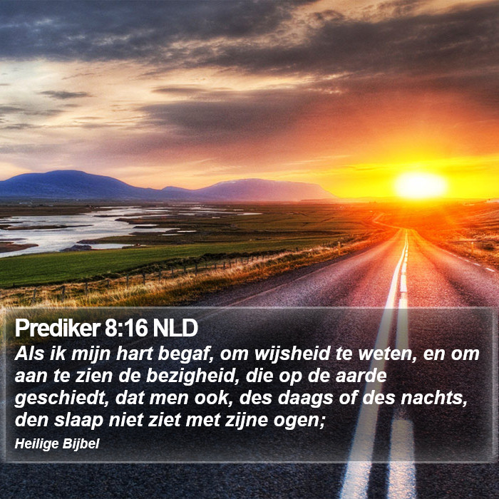 Prediker 8:16 NLD Bible Study