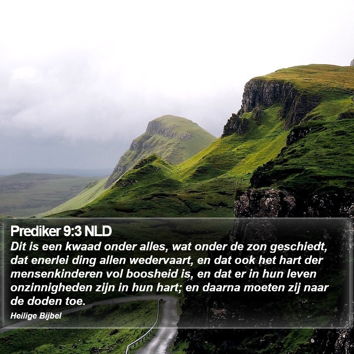 Prediker 9:3 NLD Bible Study