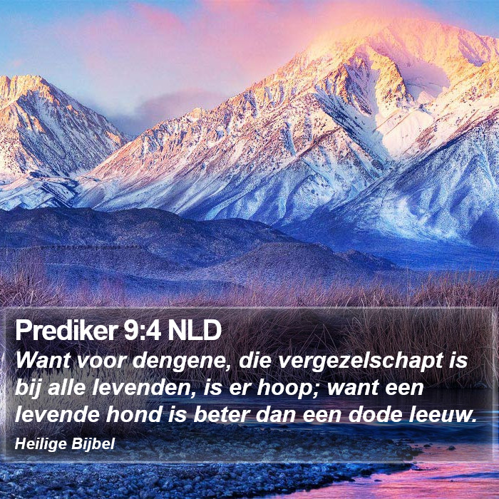 Prediker 9:4 NLD Bible Study
