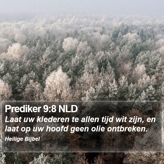 Prediker 9:8 NLD Bible Study