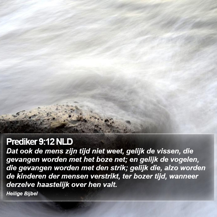 Prediker 9:12 NLD Bible Study